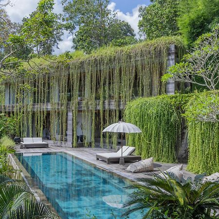 Chameleon Villa Bali Selemadeg Kültér fotó